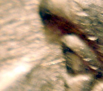 1980-P-Jefferson-Nickel---Missing-Bridge-Of-Nose